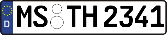 MS-TH2341