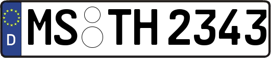 MS-TH2343