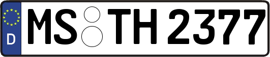 MS-TH2377