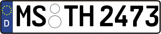 MS-TH2473