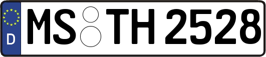 MS-TH2528