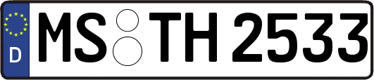 MS-TH2533