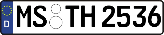 MS-TH2536