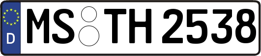 MS-TH2538