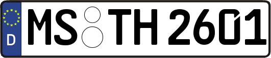 MS-TH2601