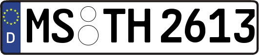 MS-TH2613
