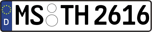 MS-TH2616