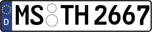 MS-TH2667