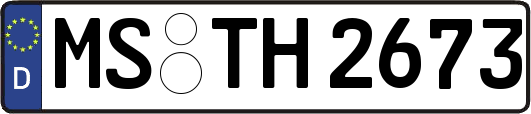 MS-TH2673