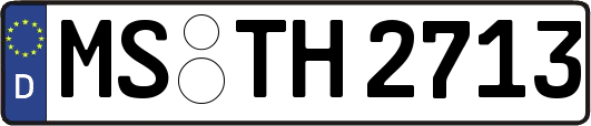 MS-TH2713
