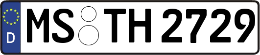 MS-TH2729