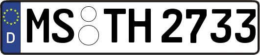 MS-TH2733