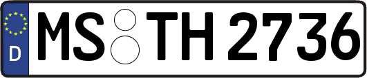 MS-TH2736