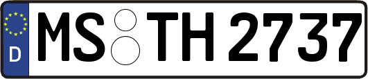 MS-TH2737