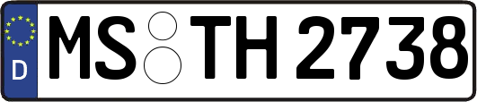 MS-TH2738