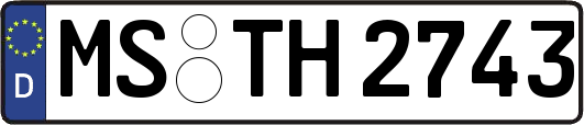 MS-TH2743