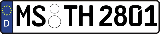 MS-TH2801