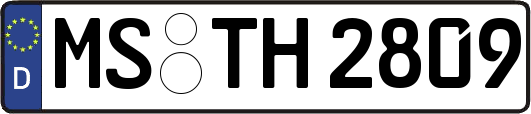 MS-TH2809