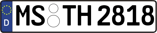 MS-TH2818
