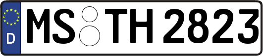 MS-TH2823