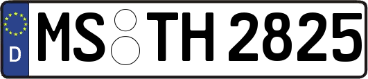 MS-TH2825