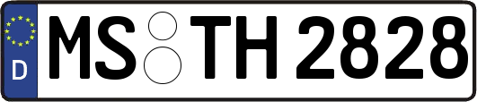MS-TH2828
