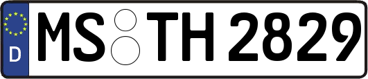 MS-TH2829