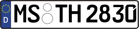 MS-TH2830