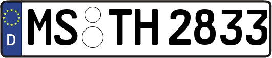 MS-TH2833