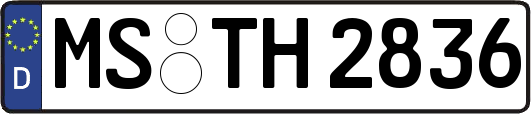 MS-TH2836