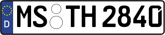 MS-TH2840