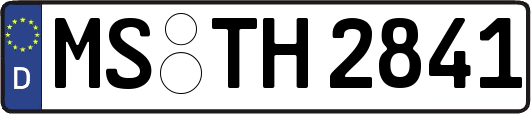 MS-TH2841