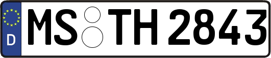 MS-TH2843