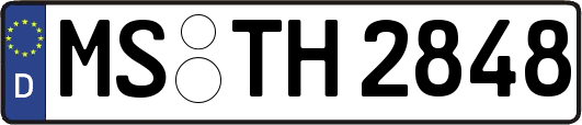 MS-TH2848