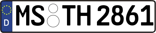 MS-TH2861