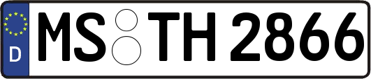 MS-TH2866