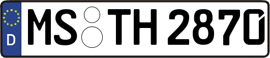 MS-TH2870