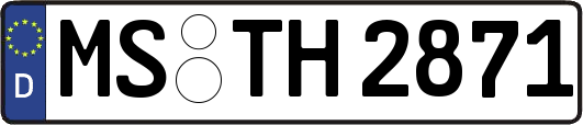 MS-TH2871