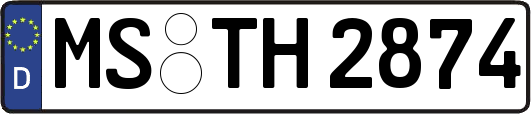 MS-TH2874