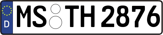 MS-TH2876