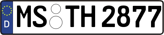 MS-TH2877