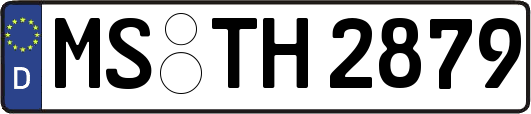 MS-TH2879