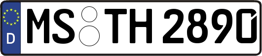 MS-TH2890