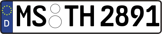 MS-TH2891