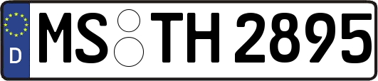 MS-TH2895