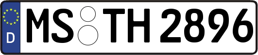 MS-TH2896
