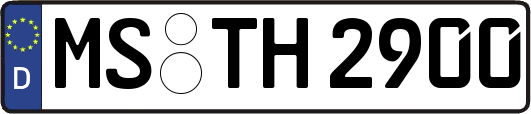 MS-TH2900