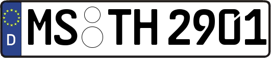 MS-TH2901