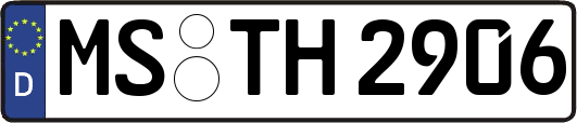 MS-TH2906