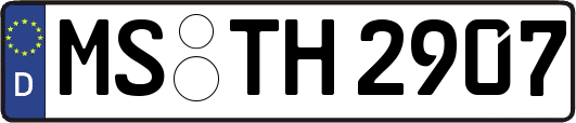 MS-TH2907
